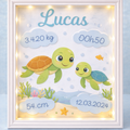 Cadre Led - Naissance Tortue